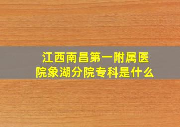 江西南昌第一附属医院象湖分院专科是什么