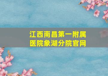 江西南昌第一附属医院象湖分院官网