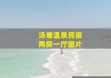 汤塘温泉民宿两房一厅图片