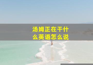 汤姆正在干什么英语怎么说