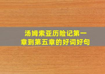 汤姆索亚历险记第一章到第五章的好词好句