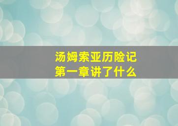 汤姆索亚历险记第一章讲了什么