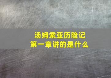 汤姆索亚历险记第一章讲的是什么