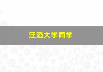 汪滔大学同学