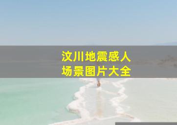 汶川地震感人场景图片大全