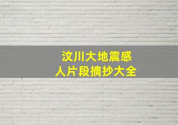 汶川大地震感人片段摘抄大全