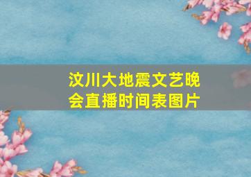 汶川大地震文艺晚会直播时间表图片