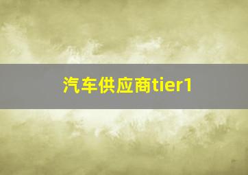 汽车供应商tier1