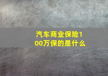 汽车商业保险100万保的是什么