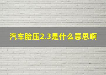 汽车胎压2.3是什么意思啊