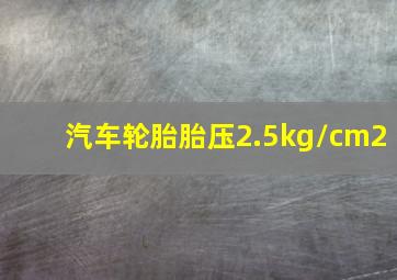 汽车轮胎胎压2.5kg/cm2