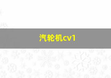 汽轮机cv1