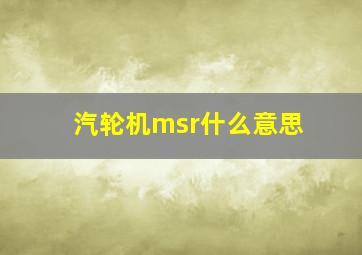 汽轮机msr什么意思