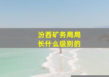 汾西矿务局局长什么级别的