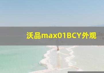 沃品max01BCY外观