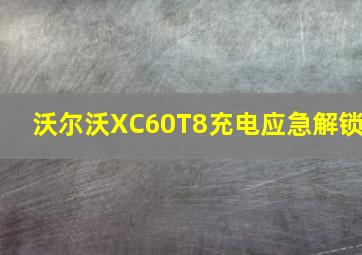 沃尔沃XC60T8充电应急解锁