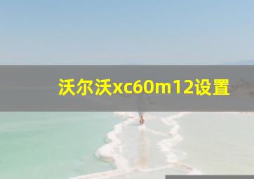 沃尔沃xc60m12设置