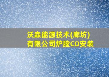 沃森能源技术(廊坊)有限公司炉膛CO安装