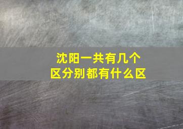 沈阳一共有几个区分别都有什么区