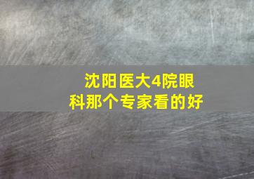 沈阳医大4院眼科那个专家看的好