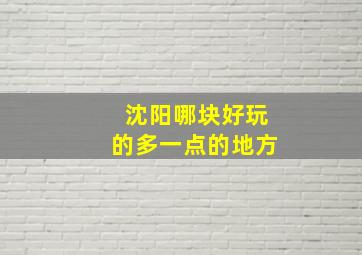 沈阳哪块好玩的多一点的地方