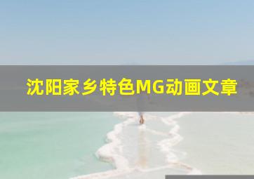 沈阳家乡特色MG动画文章