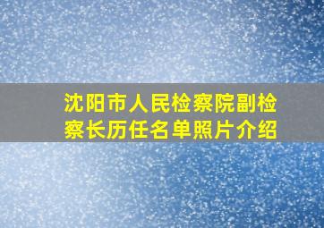 沈阳市人民检察院副检察长历任名单照片介绍