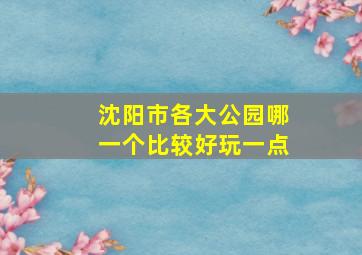 沈阳市各大公园哪一个比较好玩一点