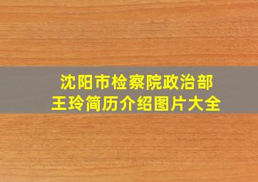 沈阳市检察院政治部王玲简历介绍图片大全