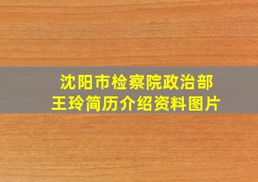 沈阳市检察院政治部王玲简历介绍资料图片