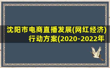 沈阳市电商直播发展(网红经济)行动方案(2020-2022年)