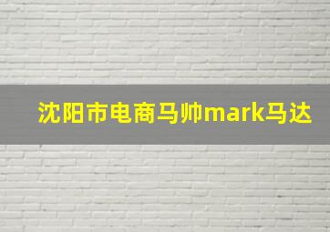 沈阳市电商马帅mark马达