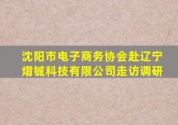 沈阳市电子商务协会赴辽宁熠铖科技有限公司走访调研