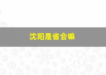 沈阳是省会嘛