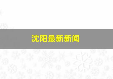 沈阳最新新闻