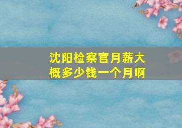 沈阳检察官月薪大概多少钱一个月啊