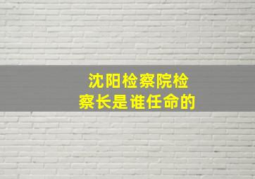 沈阳检察院检察长是谁任命的