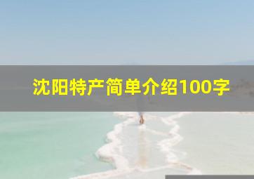 沈阳特产简单介绍100字