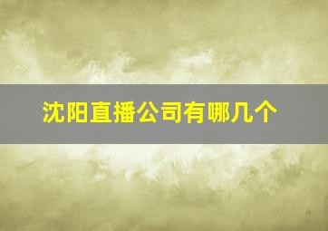 沈阳直播公司有哪几个