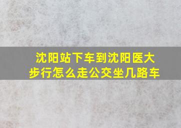 沈阳站下车到沈阳医大步行怎么走公交坐几路车