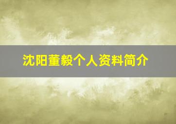 沈阳董毅个人资料简介