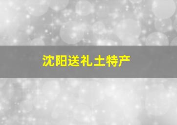 沈阳送礼土特产