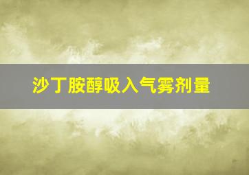 沙丁胺醇吸入气雾剂量