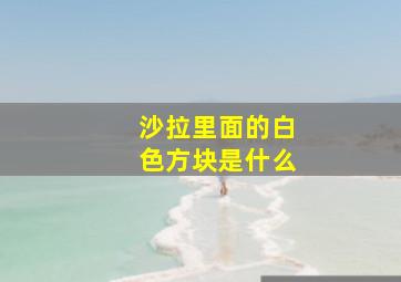 沙拉里面的白色方块是什么