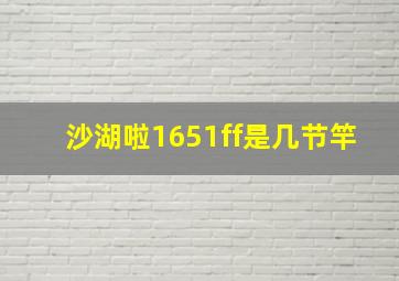 沙湖啦1651ff是几节竿