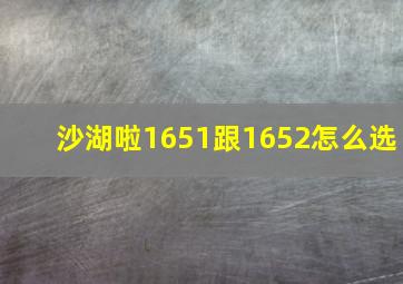 沙湖啦1651跟1652怎么选