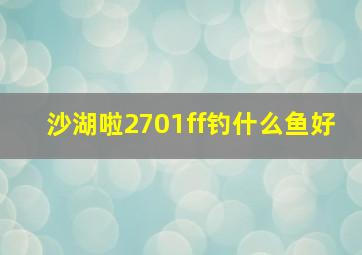 沙湖啦2701ff钓什么鱼好