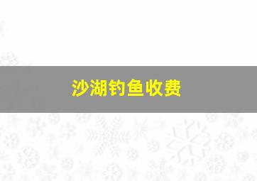 沙湖钓鱼收费