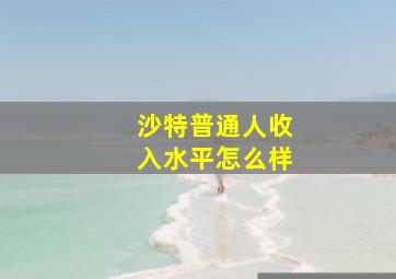 沙特普通人收入水平怎么样