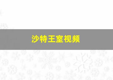 沙特王室视频